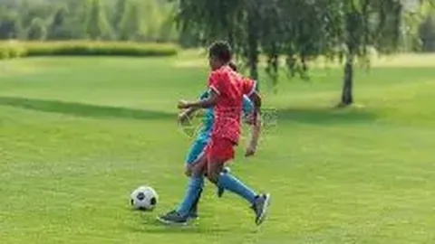 巅峰国际娱乐 产品 085433 1xb